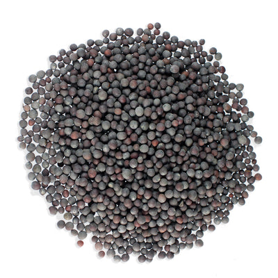 JustIngredients Black/Brown Mustard Seeds