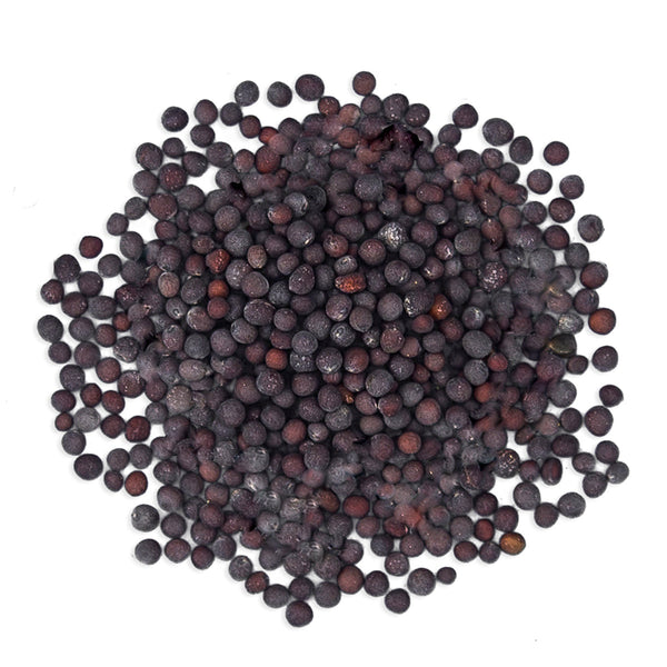 JustIngredients Organic Black/Brown Mustard Seeds