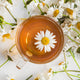 Chamomile Flowers Roman