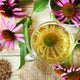 Echinacea Herb